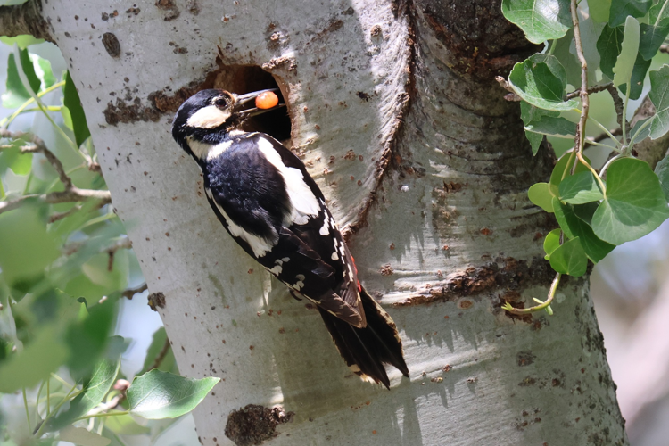 A table &copy; Sébastien BONTEMPS